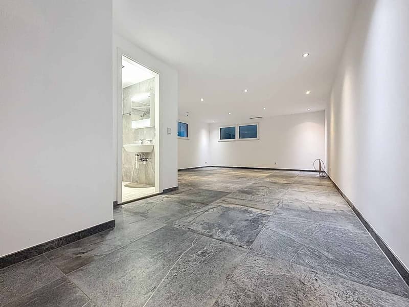Duplex di 4.5 locali con seminterrato, giardino e vista sul lago (7)