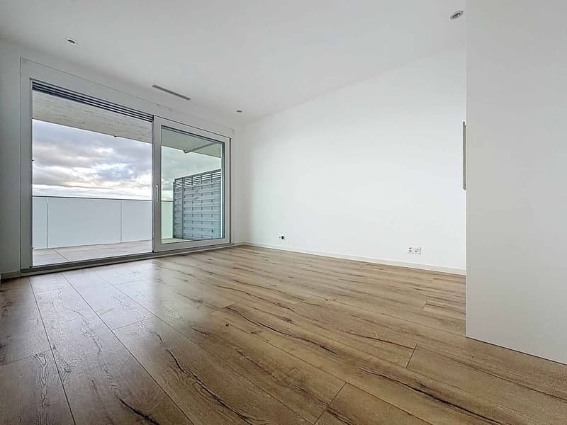 Duplex di 4.5 locali con seminterrato, giardino e vista sul lago (5)