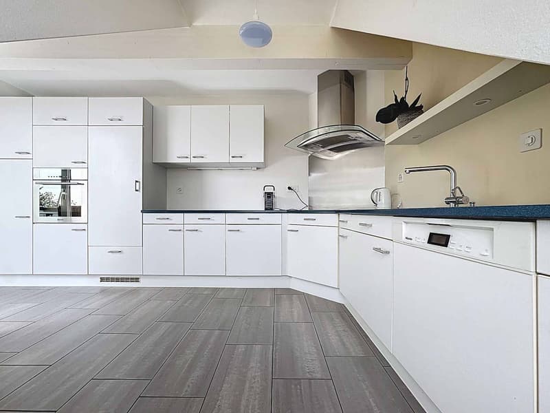 Attic of 5.5 rooms of 160m2 with balcony and garden (4)
