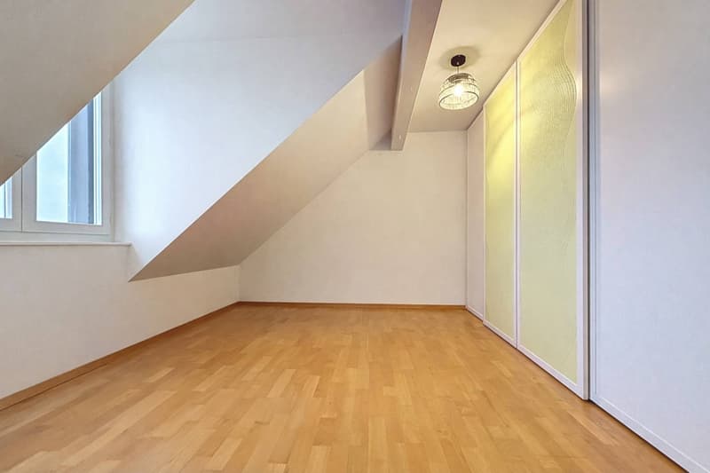 Attic of 5.5 rooms of 160m2 with balcony and garden (6)
