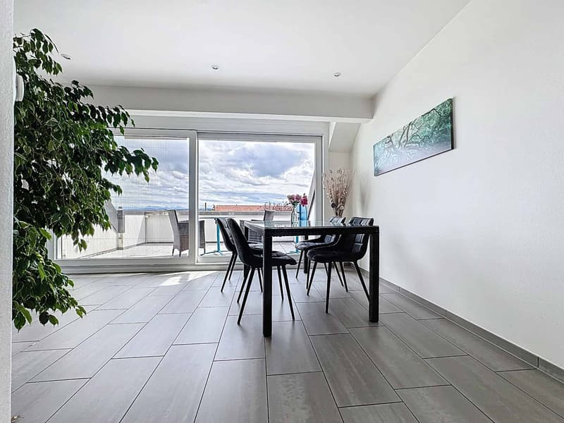 Attic of 5.5 rooms of 160m2 with balcony and garden (3)