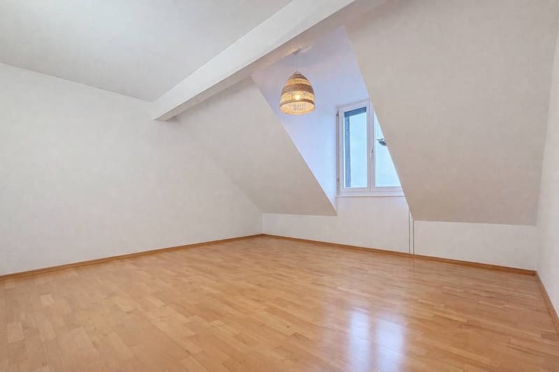 Attic of 5.5 rooms of 160m2 with balcony and garden (7)
