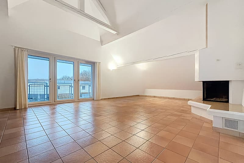 Attic of 5.5 rooms of 160m2 with balcony and garden (2)