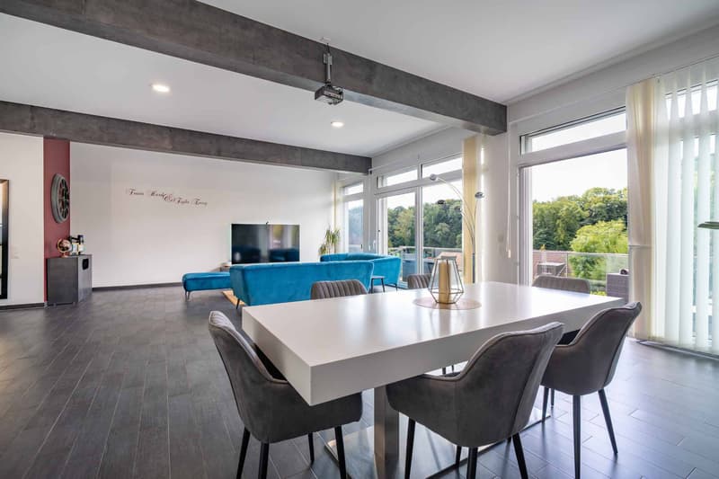 Villa moderne de 5.5 pièces avec 2 balcons, 2 terrasses et jardin (2)