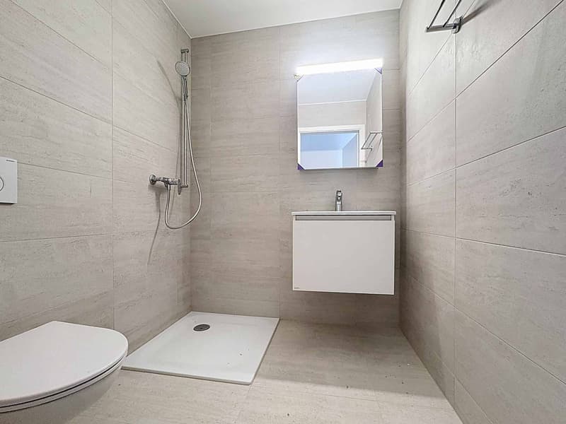 Attique neuf de 5.5 pièces avec rooftop terrasse (8)
