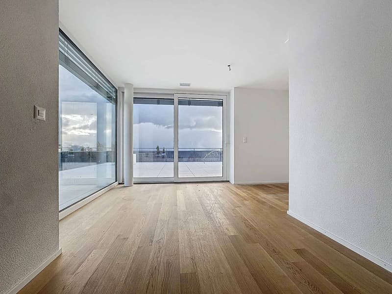 Attique neuf de 5.5 pièces avec rooftop terrasse (5)