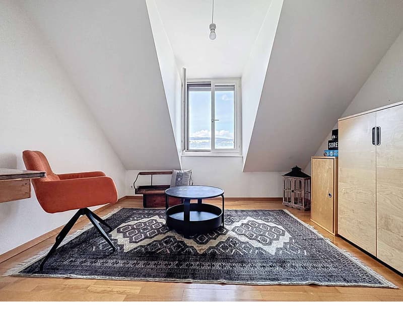 Mansarda di 5.5 locali con altezze soffitto elevate e giardino (6)