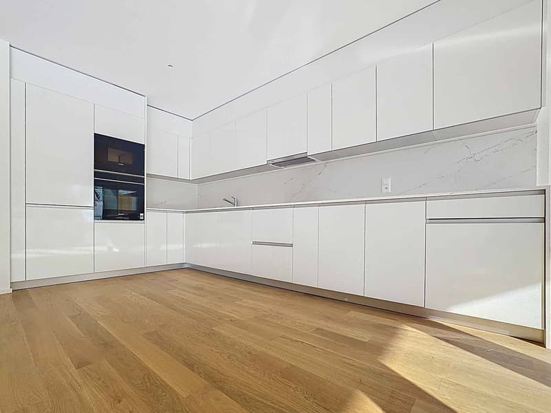 Luxurious 4.5-room apartment with 76m2 balcony and panoramic view of the lake (3)