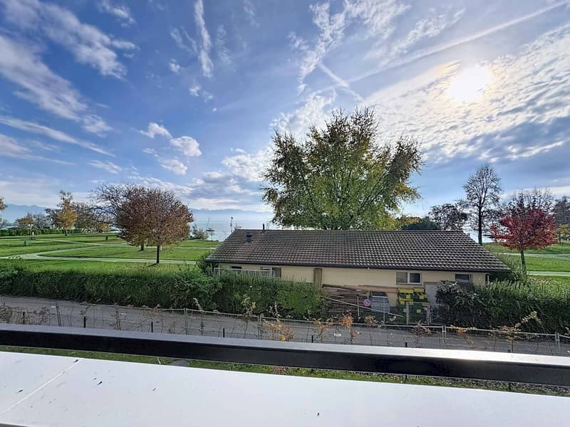 Luxurious 4.5-room apartment with 76m2 balcony and panoramic view of the lake (13)