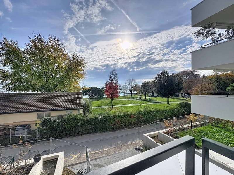 Luxurious 4.5-room apartment with 76m2 balcony and panoramic view of the lake (11)