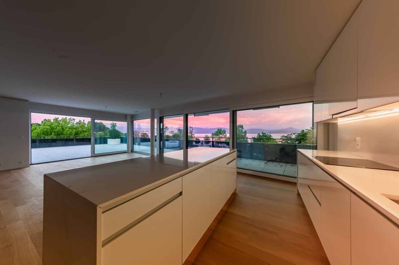 UNIQUE ! Attique neuf de 5.5 pièces bénéficiant d'un rooftop terrasse (3)
