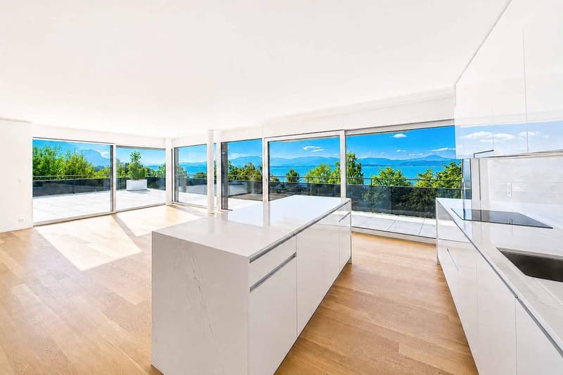 UNIQUE ! Attique neuf de 5.5 pièces bénéficiant d'un rooftop terrasse (1)