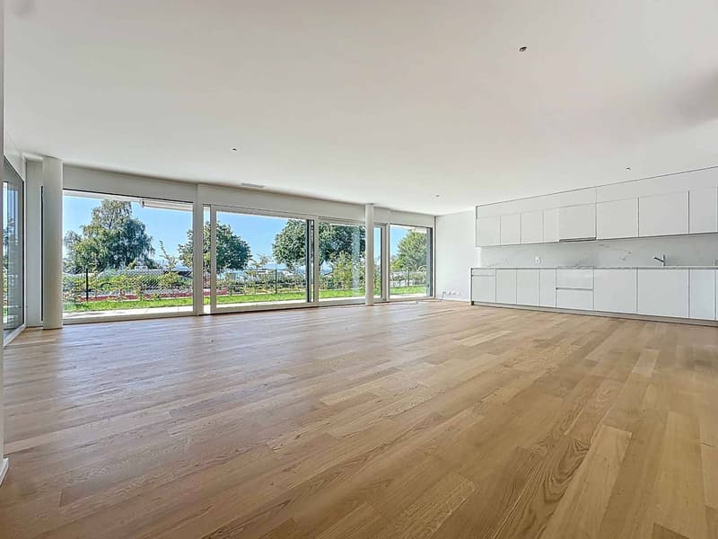 Eccezionale appartamento di 5.5 locali con terrazza e giardino privato (3)