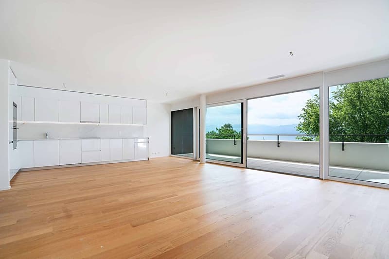 Luxurious 4.5-room apartment with covered balcony (2)