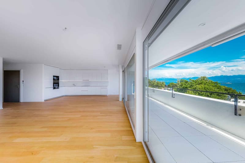 Luxurious 4.5-room apartment with covered balcony (3)