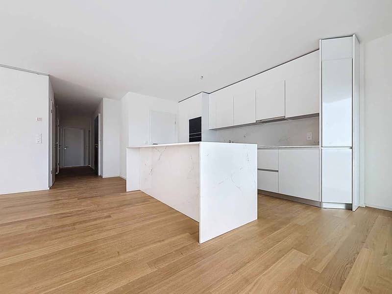 New promotion: 5.5-room apartment with covered balcony and terrace (3)
