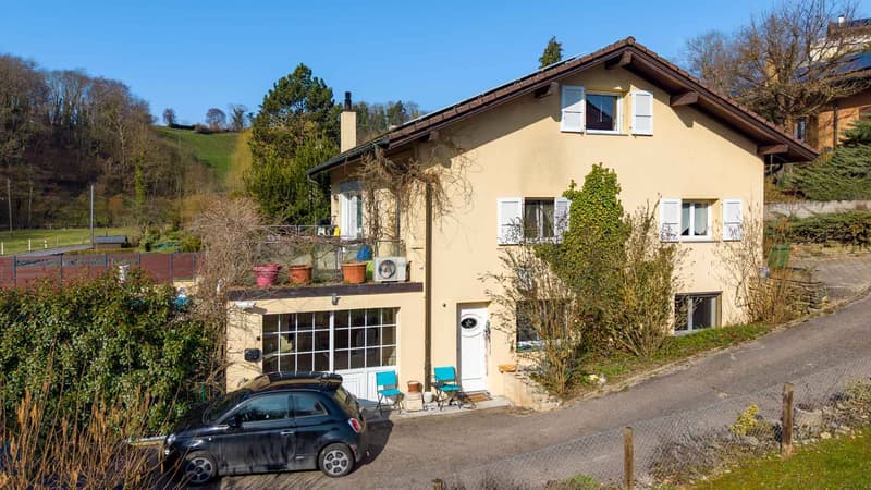 Villa with 8 rooms, independent apartment and outdoor pool (9)