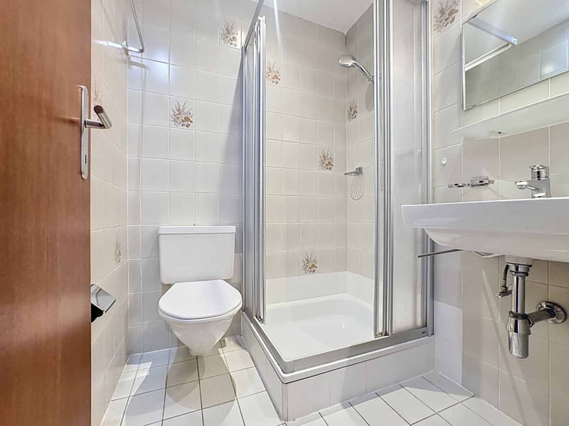 Magnificent 6.5-room apartment with balcony (9)