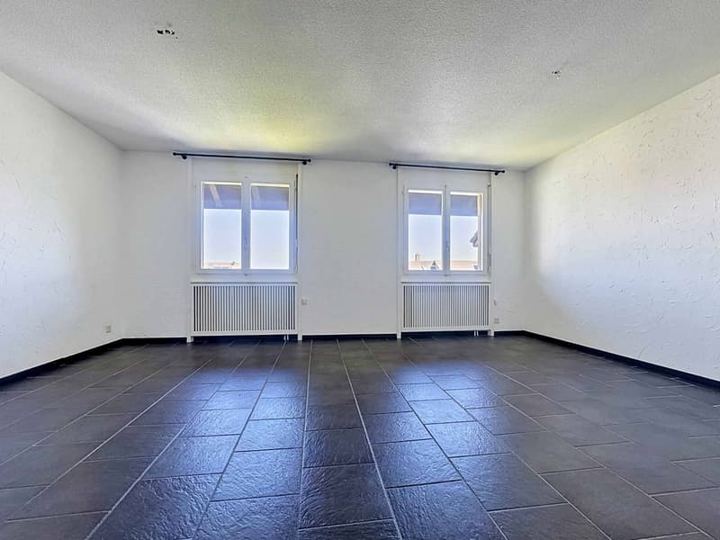 Magnificent 6.5-room apartment with balcony (4)