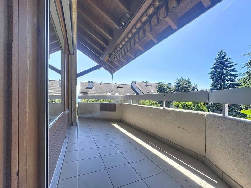Magnificent 6.5-room apartment with balcony (11)