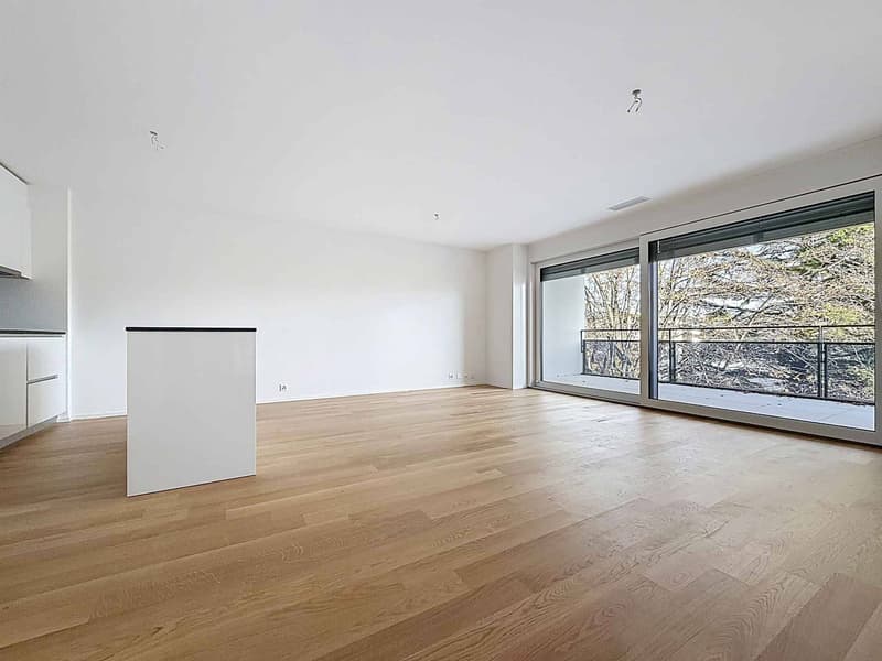 New 3.5-room apartment with 2 covered balconies (2)