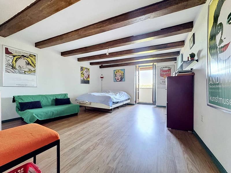 House with 6.5 rooms and construction potential (6)