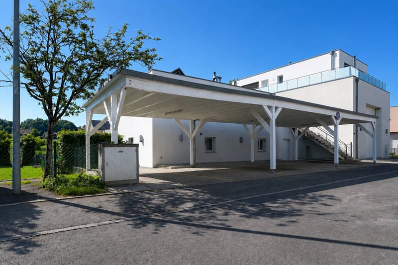 Villa de 5.5 pièces avec terrasse et jardin (13)