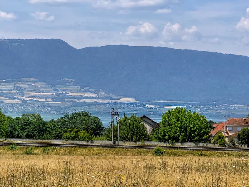 Villa individuelle de 4.5 pièces avec studio indépendant (11)