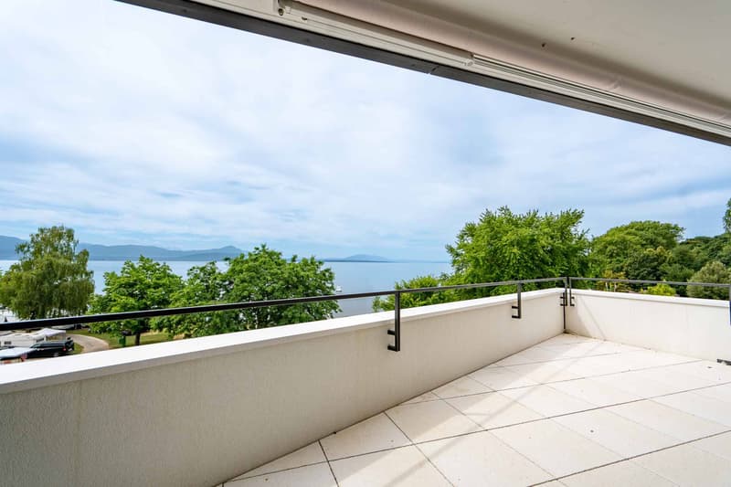 Einzigartig! 5.5-Zimmer-Dachgeschoss mit 180m2, das eine Dachterrasse von 168m2 mit Panoramablick auf den See und die Alpen bietet (7)