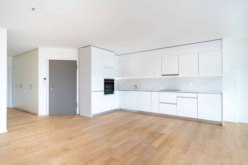 Einzigartig! 5.5-Zimmer-Dachgeschoss mit 180m2, das eine Dachterrasse von 168m2 mit Panoramablick auf den See und die Alpen bietet (3)