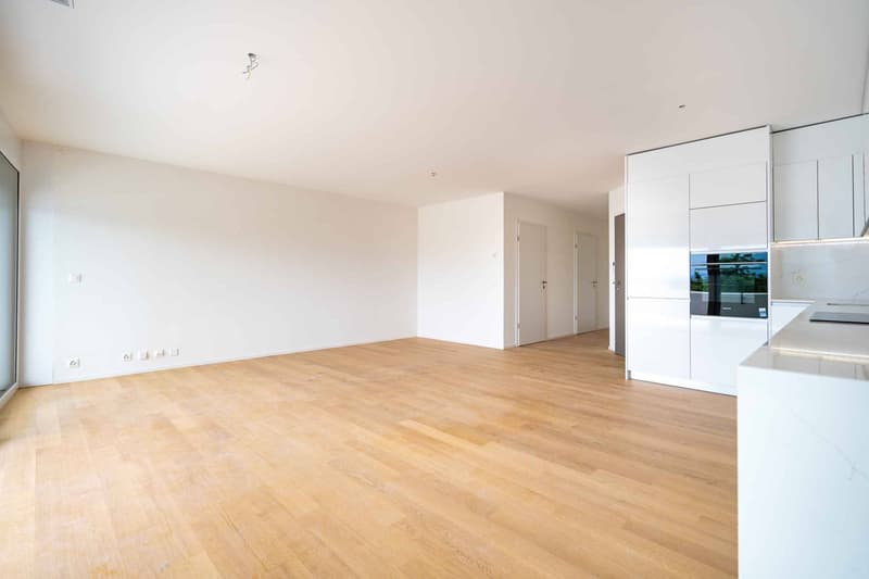 Einzigartig! 5.5-Zimmer-Dachgeschoss mit 180m2, das eine Dachterrasse von 168m2 mit Panoramablick auf den See und die Alpen bietet (4)