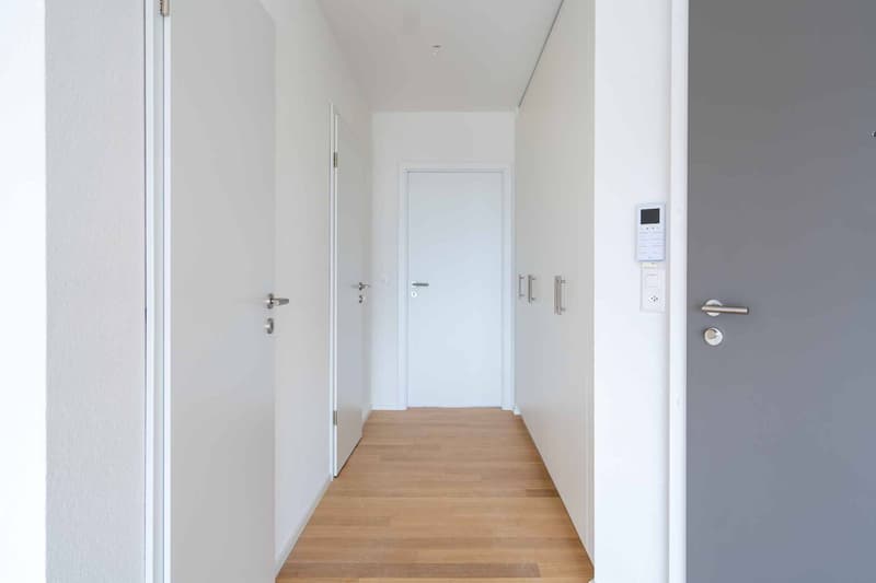 Einzigartig! 5.5-Zimmer-Dachgeschoss mit 180m2, das eine Dachterrasse von 168m2 mit Panoramablick auf den See und die Alpen bietet (2)