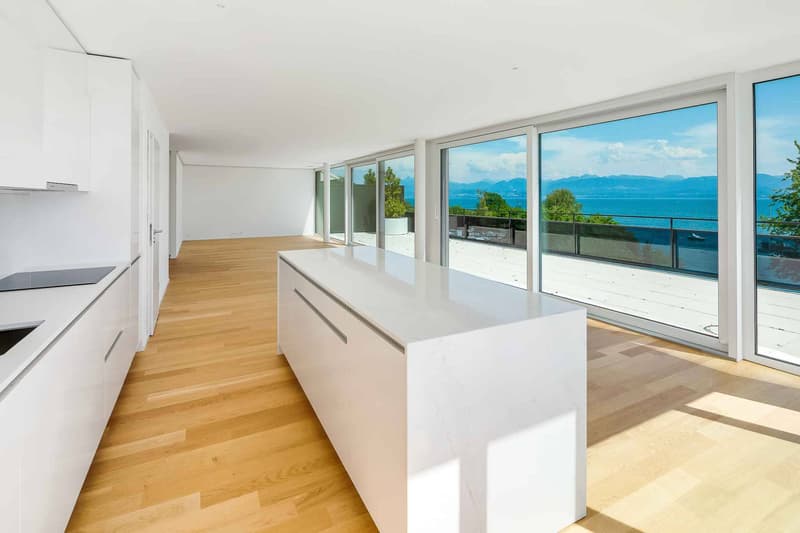UNIQUE! Attique de 5.5 pièces de 180m2 bénéficiant d'un rooftop terrasse de 168m2 avec vue panoramique sur le lac et les Alpes (2)