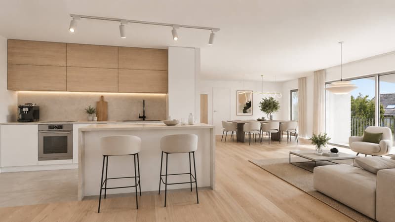 Nuova promozione: attico di 3.5 locali con balcone (1)
