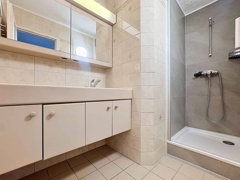 Magnifique appartement de 6.5 pièces avec balcon (9)