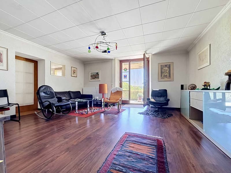Maison de 6.5 pièces avec potentiel de construction (2)