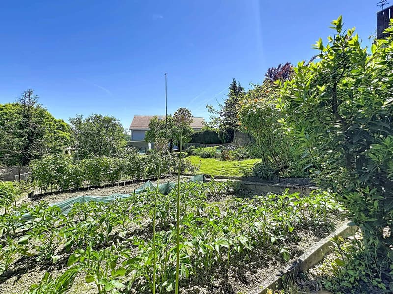 Maison de 6.5 pièces avec potentiel de construction (13)