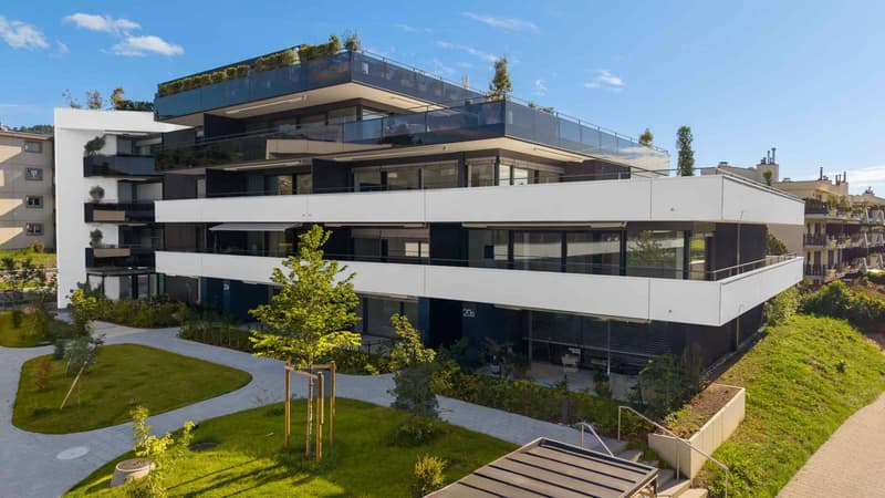 Luxueux 4.5 pièces d'angle avec terrasse (11)