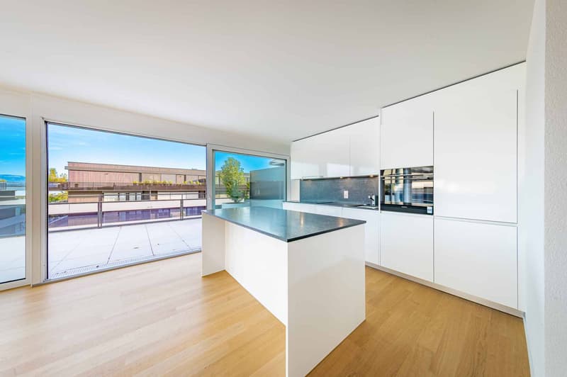 Attique neuf de 4.5 pièces avec rooftop terrasse (4)