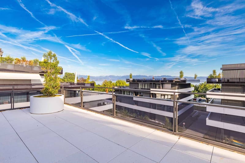 Attique neuf de 4.5 pièces avec rooftop terrasse (10)