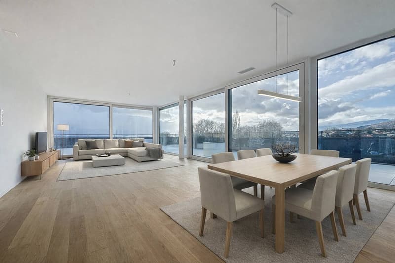 Attique neuf de 5.5 pièces avec rooftop terrasse (1)