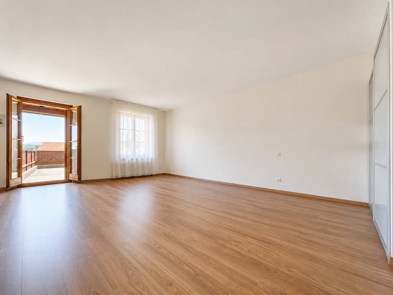 Maison de 6.5 pièces avec potentiel de construction (6)