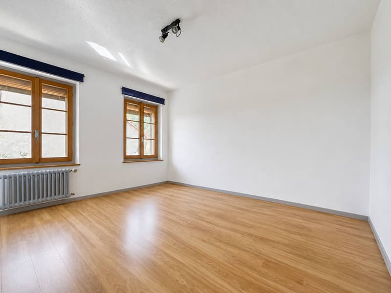 Maison de 6.5 pièces avec potentiel de construction (8)