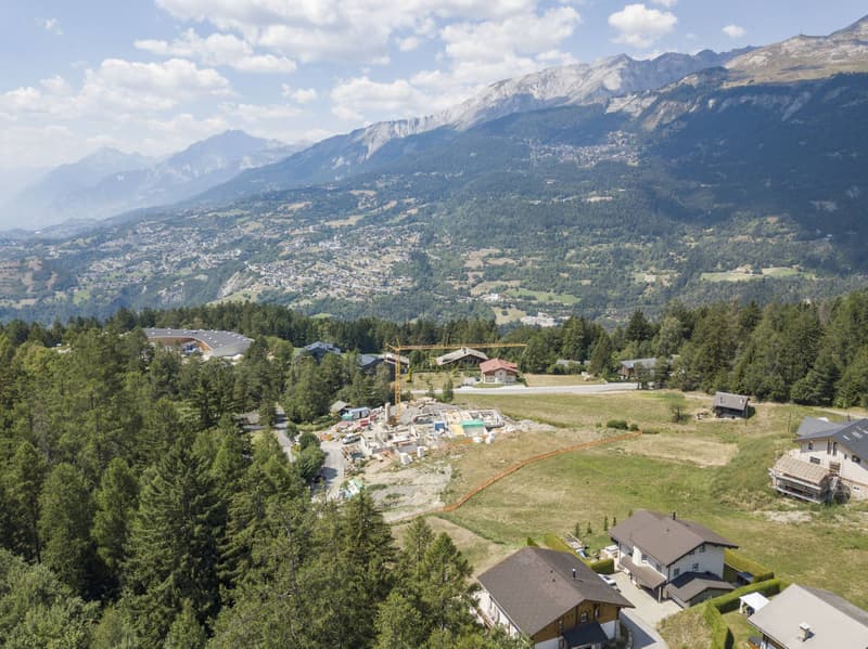 Vista magnifica e ambiente di vita piacevole nella natura - 3,5 locali (2)
