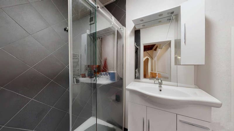 Renovated apartment with character (4)