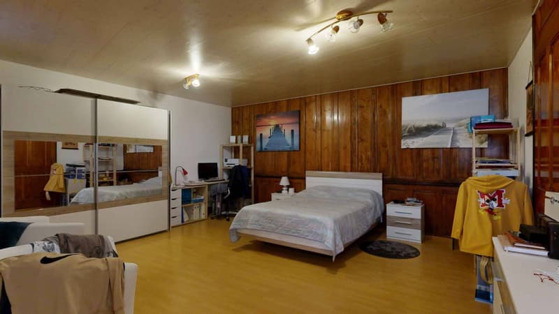 Renovated apartment with character (3)