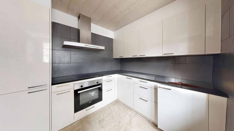 Spacious 4.5-room apartment renovated - Character assured (2)