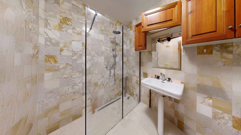 Spacious 4.5-room apartment renovated - Character assured (7)