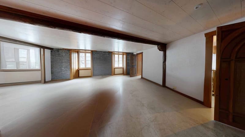 Spacious 4.5-room apartment renovated - Character assured (3)