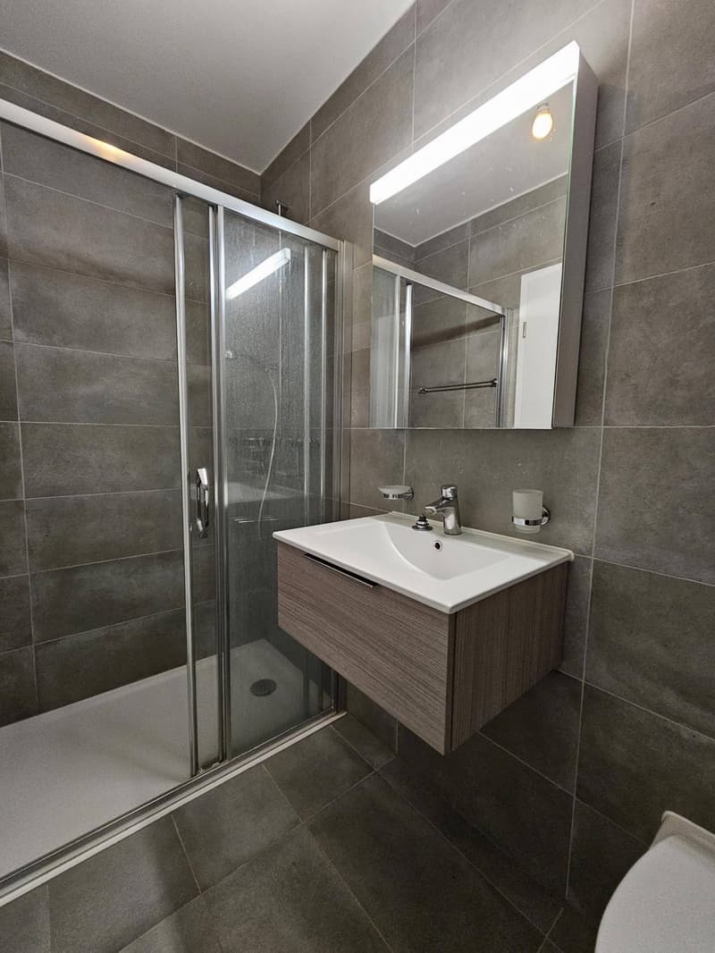 Spacious and bright 4.5-room apartment - available immediately (5)